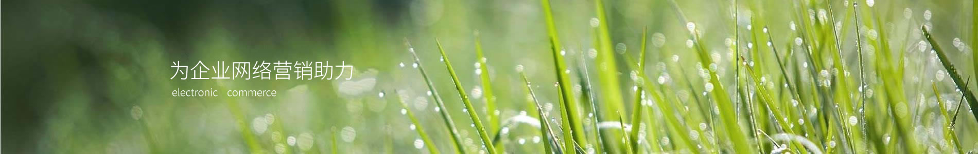 ԭʯ޹˾